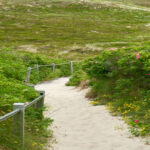 Read more about the article Embrace the Journey